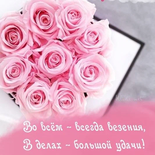 Елена Дмитриева